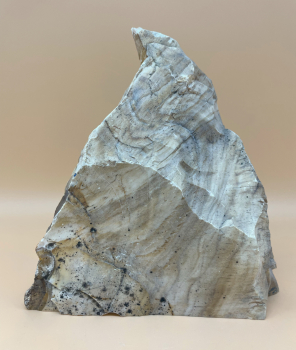 Preview: Australisches Opalholz